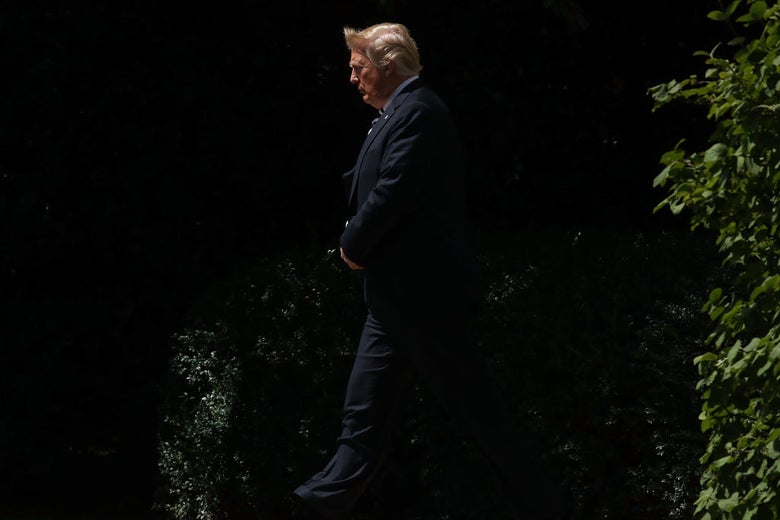 Trump walks past some shrubbery.